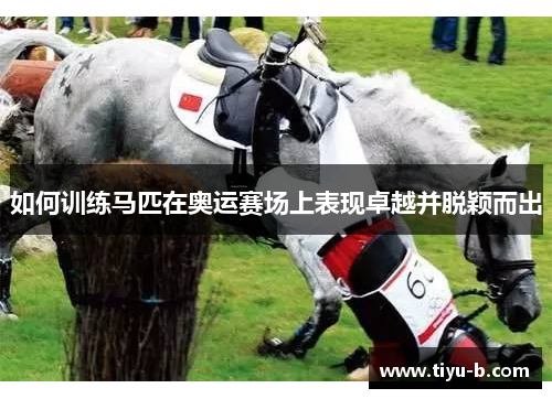 如何训练马匹在奥运赛场上表现卓越并脱颖而出 如何训练马匹在奥运赛场上表现卓越并脱颖而出