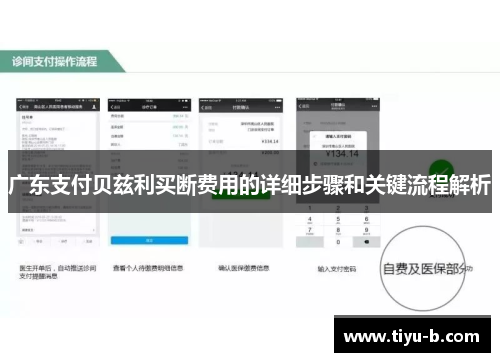 广东支付贝兹利买断费用的详细步骤和关键流程解析 广东支付贝兹利买断费用的详细步骤和关键流程解析