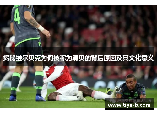 揭秘维尔贝克为何被称为黑贝的背后原因及其文化意义 揭秘维尔贝克为何被称为黑贝的背后原因及其文化意义